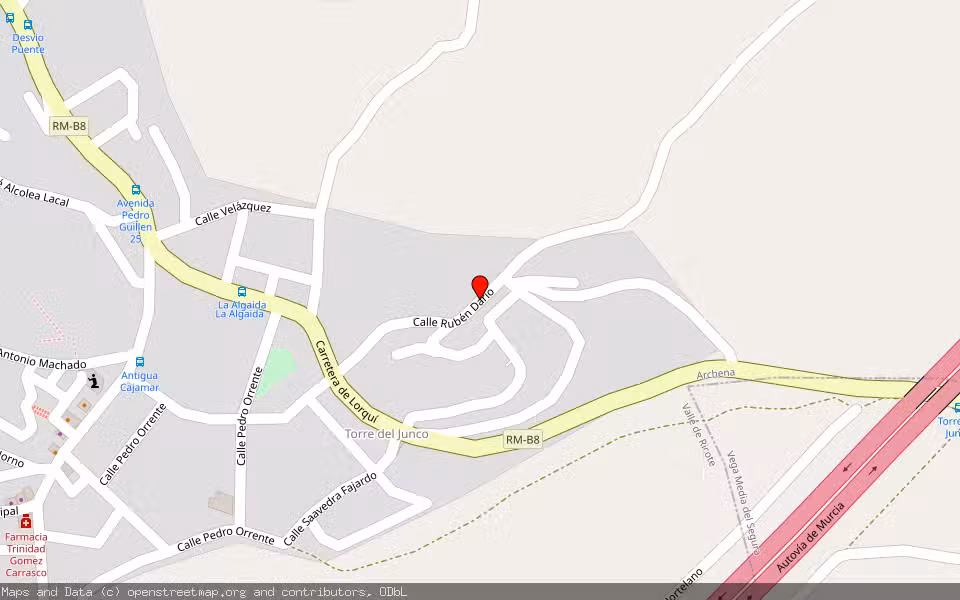 Mapa de Subasta Inmueble (Vivienda) en Archena, Murcia