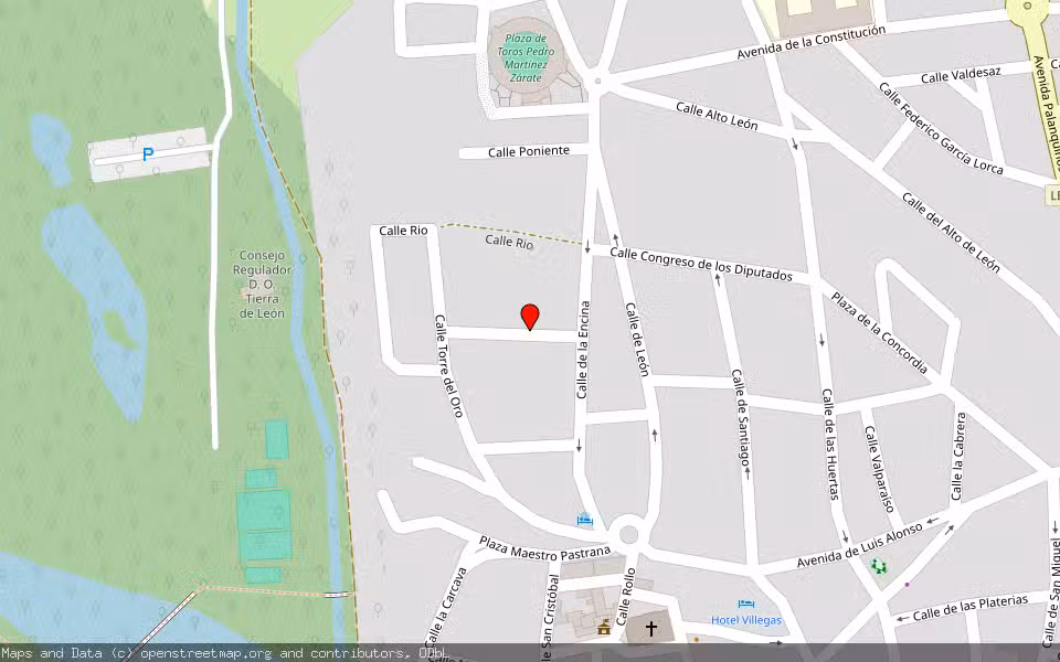 Mapa de Subasta Inmueble (Vivienda) en Valencia De Don Juan, León