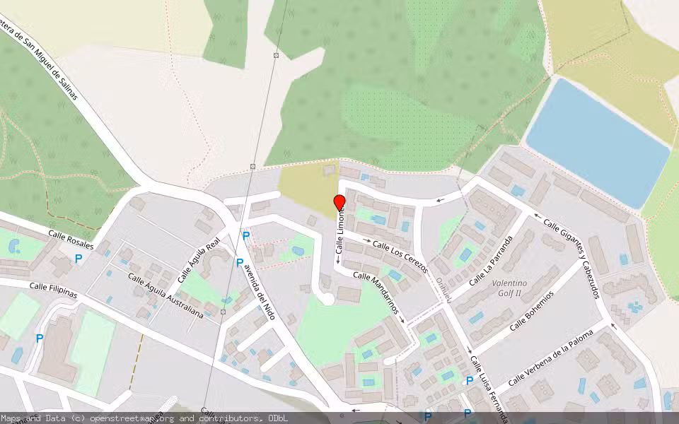 Mapa de Subasta Inmueble (Vivienda) en San Miguel De Salinas, Alicante/Alacant