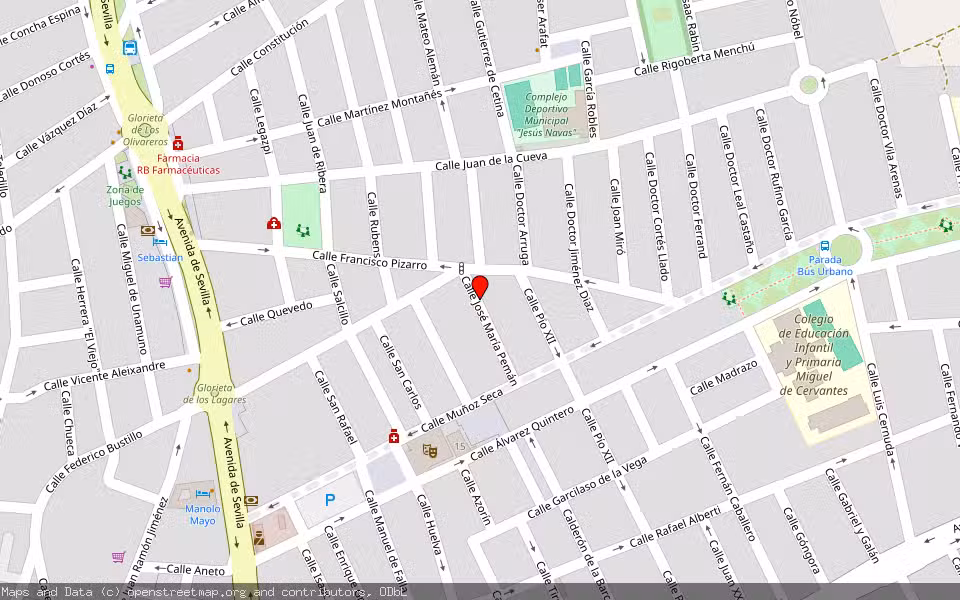 Mapa de Subasta Inmueble (Vivienda) en Los Palacios Y Viilafranca, Sevilla