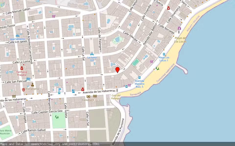 Mapa de Subasta Inmueble (Vivienda) en Torrevieja, Alicante/Alacant