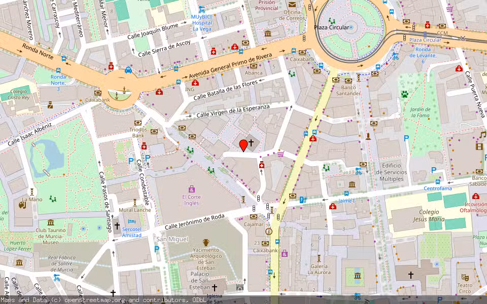 Mapa de Subasta Inmueble (Garaje) en Murcia