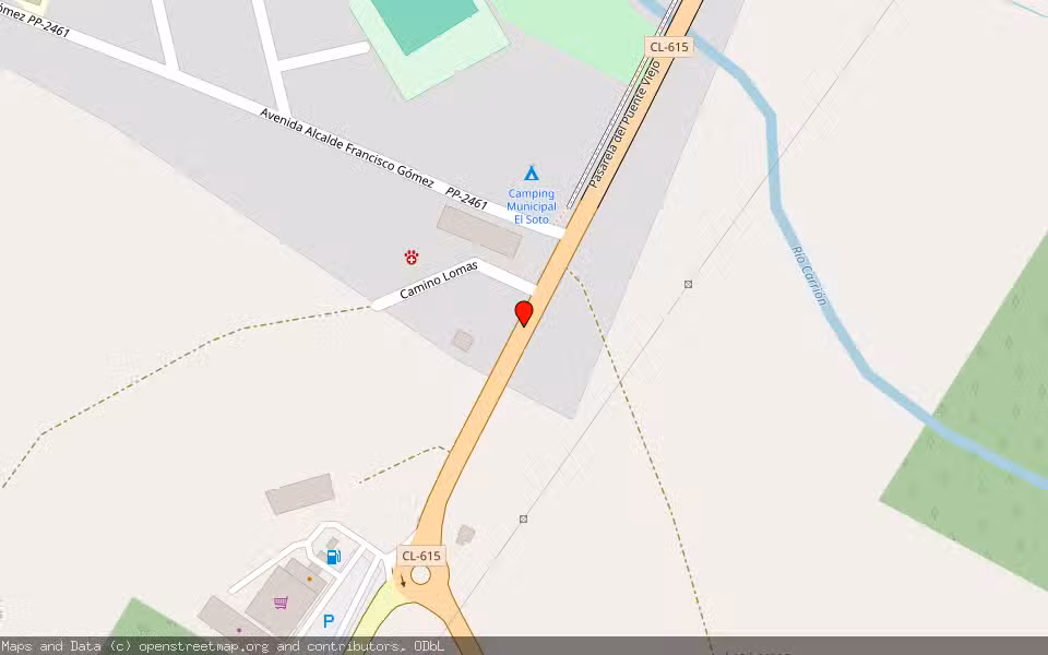 Mapa de Subasta Inmueble (Vivienda) en Saldaña, Palencia