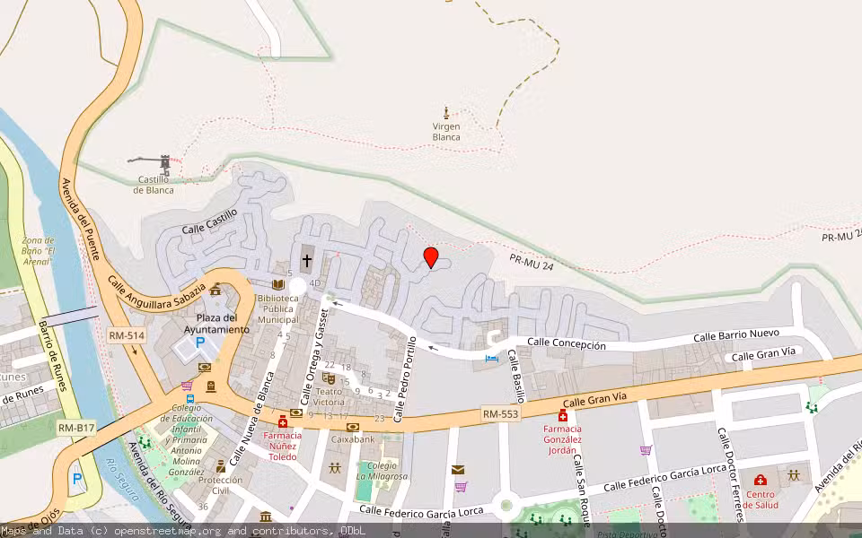 Mapa de Subasta Inmueble (Vivienda) en Blanca, Murcia