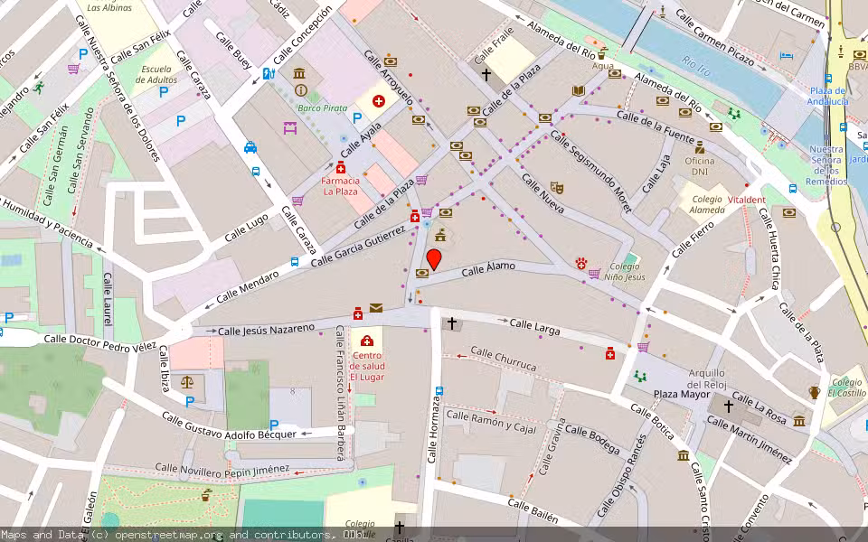 Mapa de Subasta Inmueble (Finca rústica) en Conil De La Frontera, Cádiz