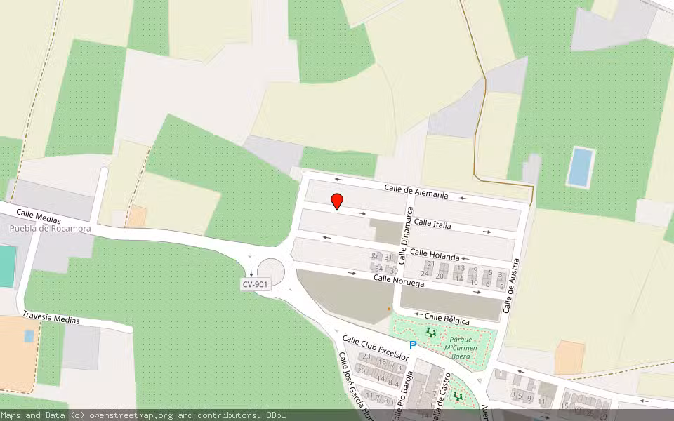 Mapa de Subasta Inmueble (Vivienda) en Daya Nueva, Alicante/Alacant