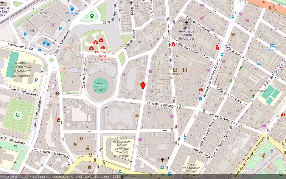 Mapa de Subasta Inmueble (Vivienda) en Zamora