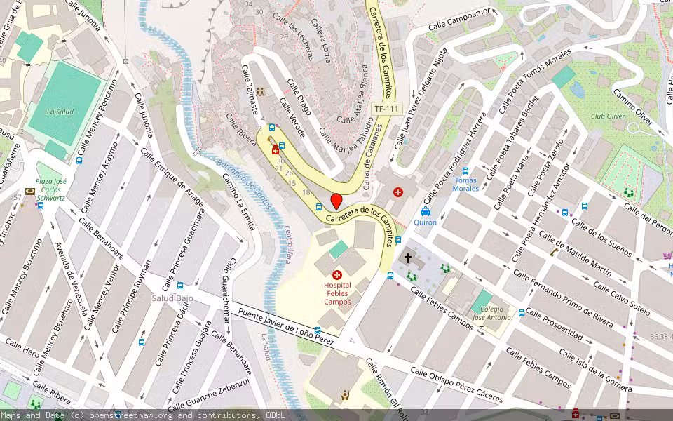 Mapa de Subasta Inmueble (Local comercial) en Santa Cruz De Tenerife