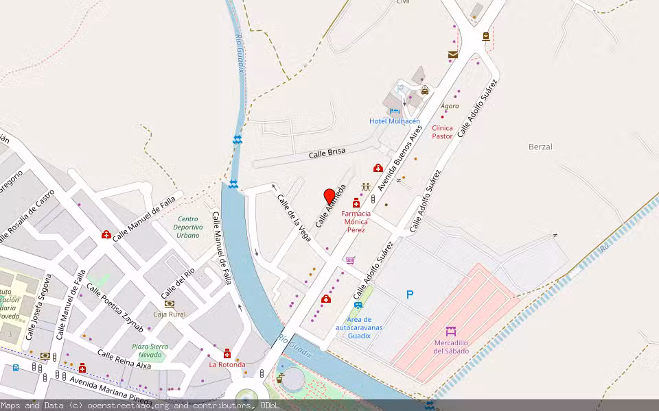 Mapa de Subasta Inmueble (Local comercial) en Guadix, Granada