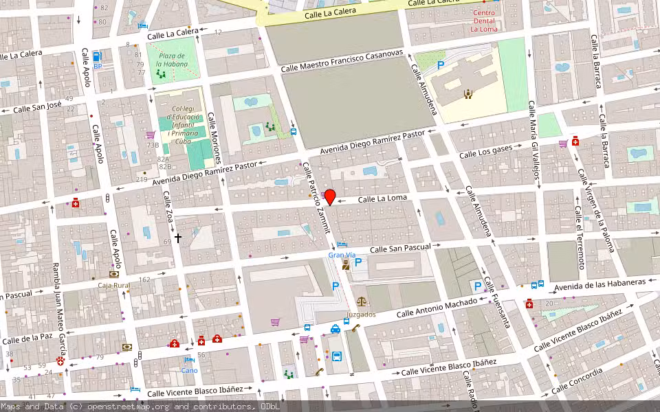 Mapa de Subasta Inmueble (Garaje) en Torrevieja, Alicante/Alacant