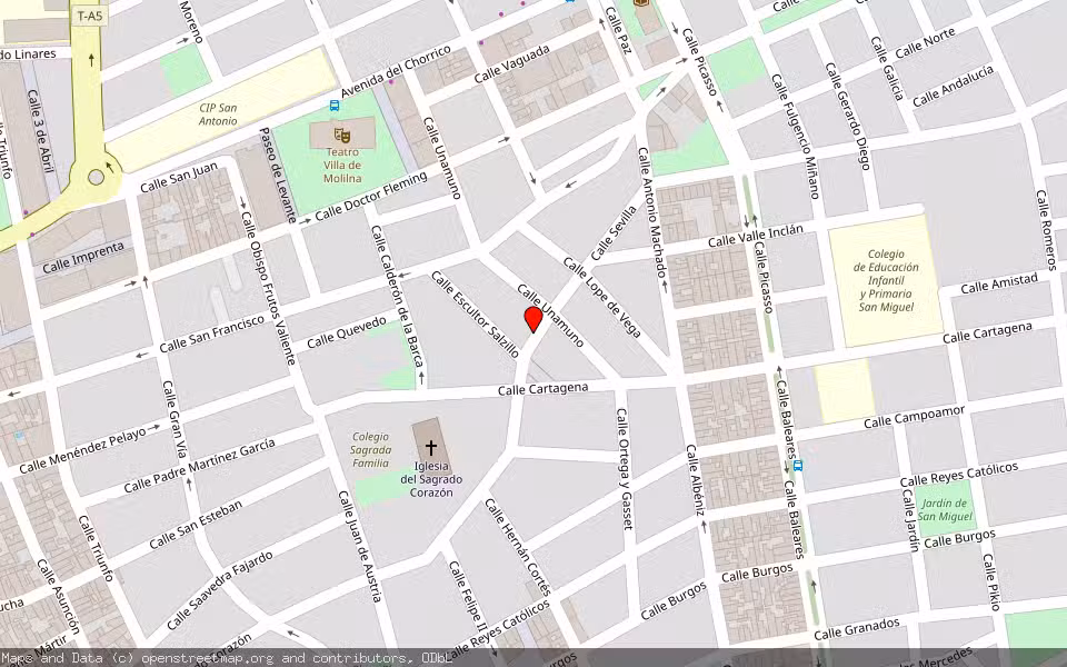 Mapa de Subasta Inmueble (Vivienda) en Molina De Segura, Murcia