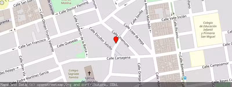 Mapa de Subasta de Inmueble (Vivienda) en Molina De Segura, Murcia 