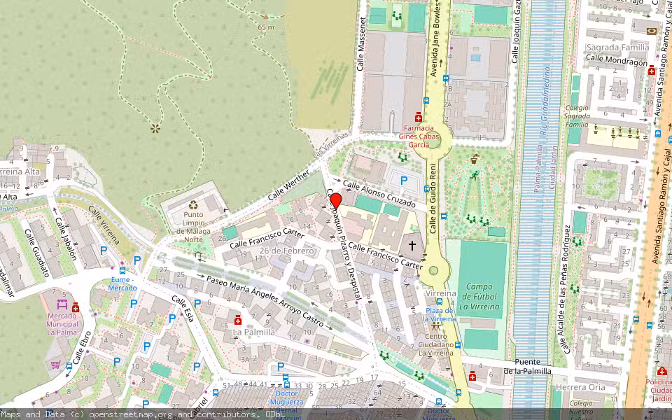 Mapa de Subasta Inmueble (Vivienda) en Malaga, Málaga
