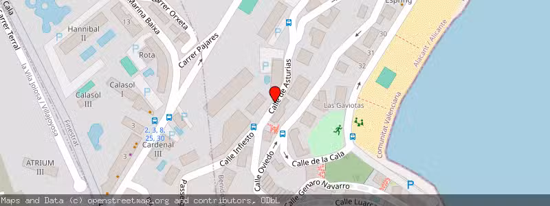 Mapa de Subasta de Inmueble (Vivienda) en Benidorm, Alicante 