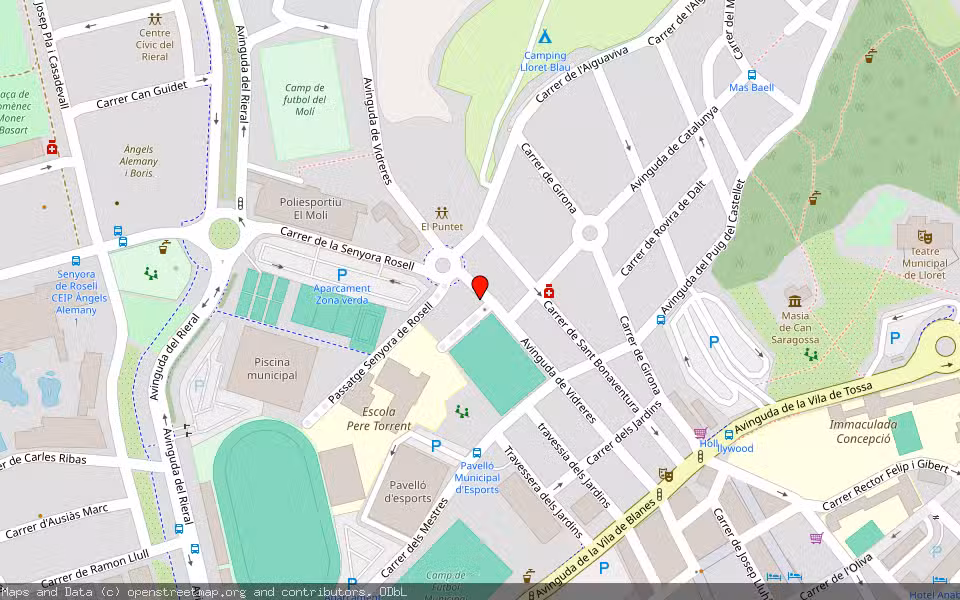 Mapa de Subasta Inmueble (Vivienda) en Lloret De Mar, Girona