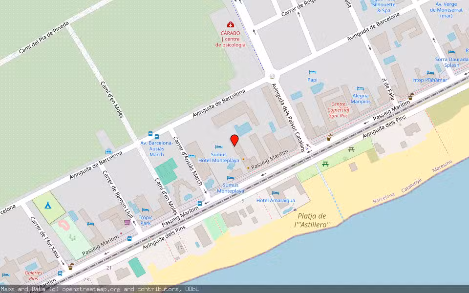 Mapa de Subasta Inmueble (Vivienda) en Malgrat De Mar, Barcelona