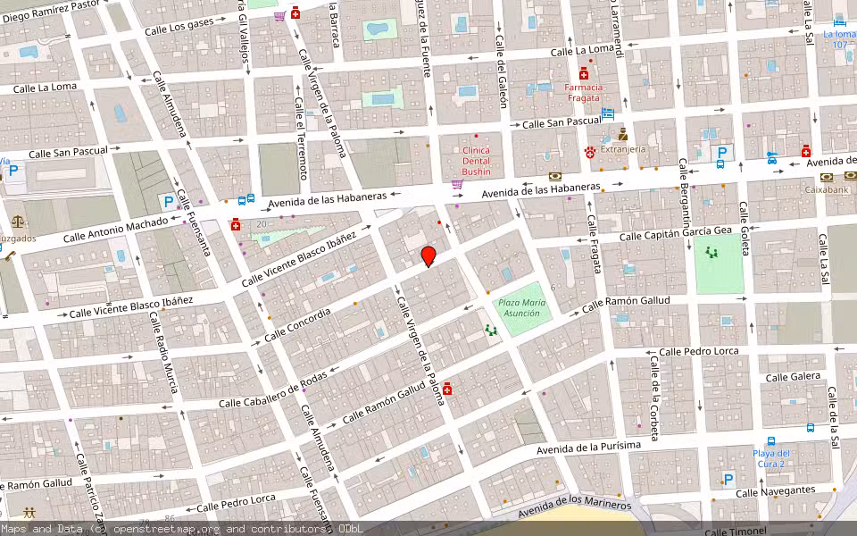 Mapa de Subasta Inmueble (Vivienda) en Torrevieja, Alicante/Alacant