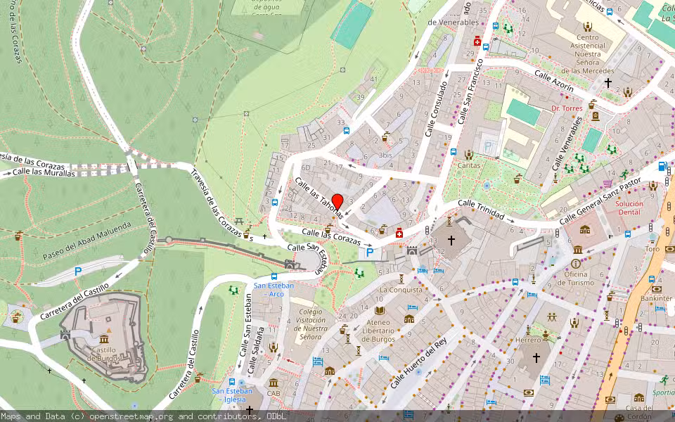 Mapa de Subasta Inmueble (Vivienda) en Burgos