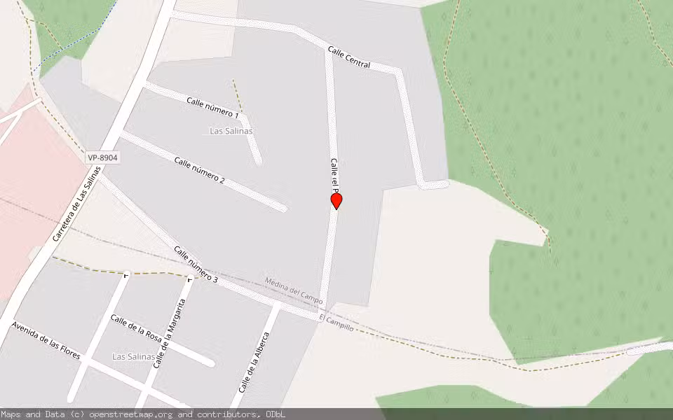 Mapa de Subasta Inmueble (Solar) en Medina Del Campo, Valladolid
