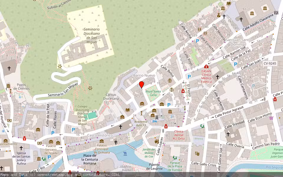 Mapa de Subasta Inmueble (Vivienda) en Orihuela, Alicante/Alacant