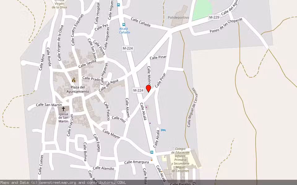 Mapa de Subasta Inmueble (Vivienda) en Valdilecha, Madrid