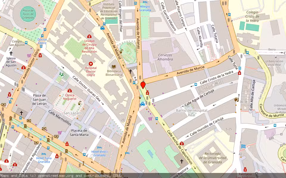 Mapa de Subasta Inmueble (Local comercial) en Granada