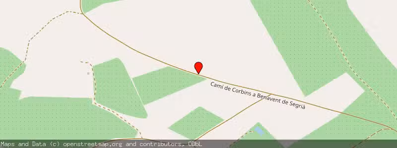 Mapa de Subasta de Inmueble (Finca rústica) en Corbins, Lérida (Lleida) 