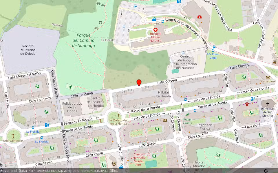 Mapa de Subasta Inmueble (Vivienda) en Oviedo, Asturias