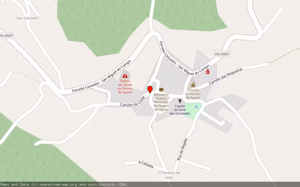 Mapa de Subasta Inmueble (Vivienda) en Pereiro De Aguiar, Ourense