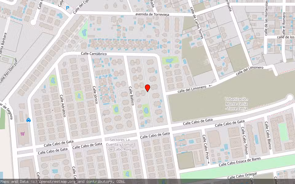 Mapa de Subasta Inmueble (Vivienda) en Orihuela, Alicante/Alacant