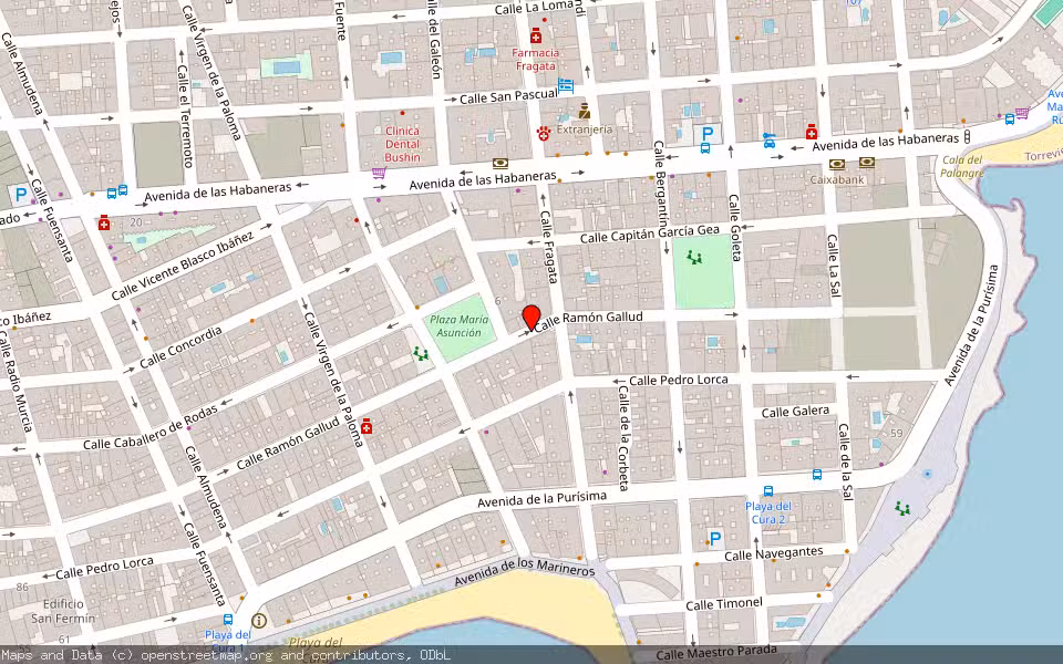 Mapa de Subasta Inmueble (Vivienda) en Torrevieja, Alicante/Alacant