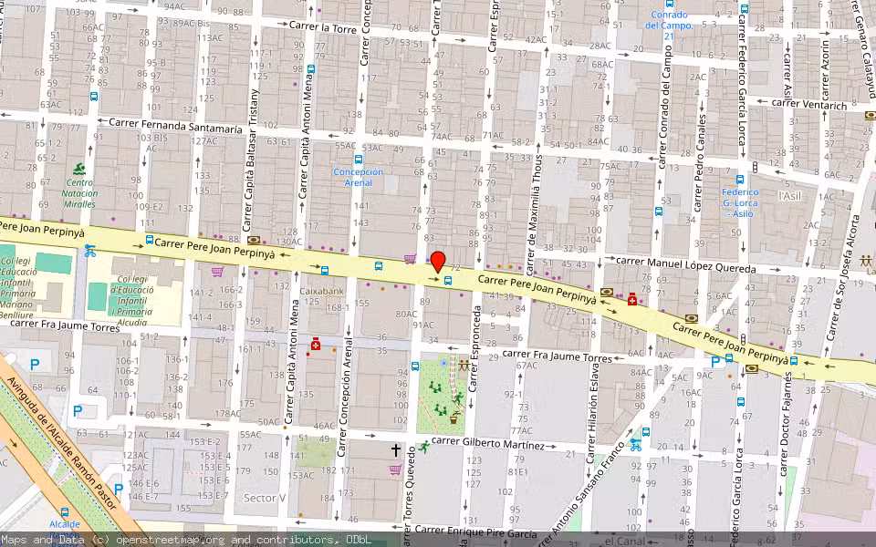 Mapa de Subasta Inmueble (Vivienda) en Elche, Alicante/Alacant