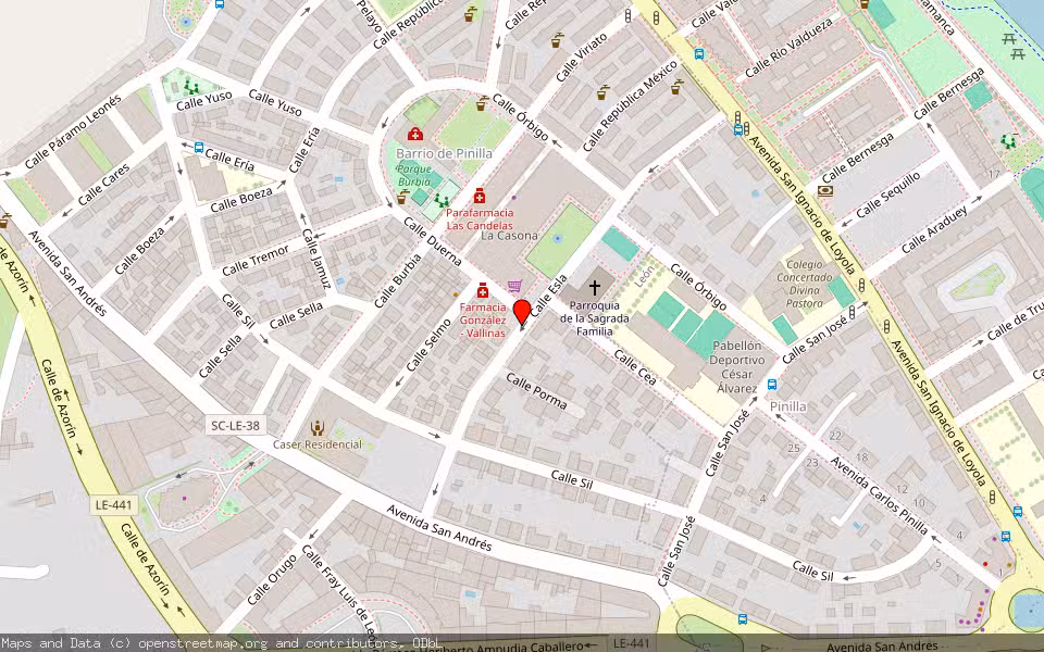 Mapa de Subasta Inmueble (Vivienda) en San Andres Del Rabanedo, León