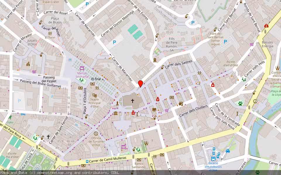 Mapa de Subasta Inmueble (Vivienda) en Olot, Girona