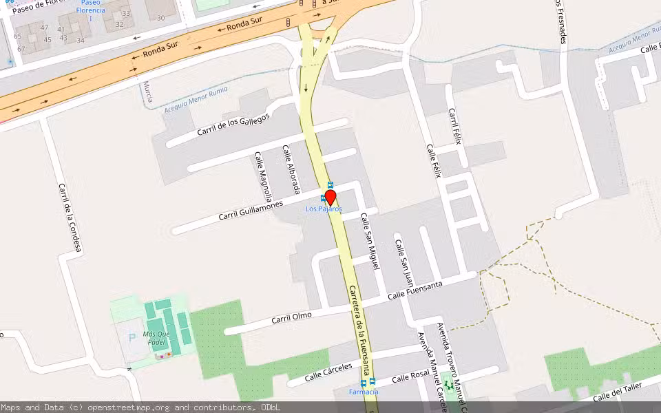 Mapa de Subasta Inmueble (Local comercial) en Murcia