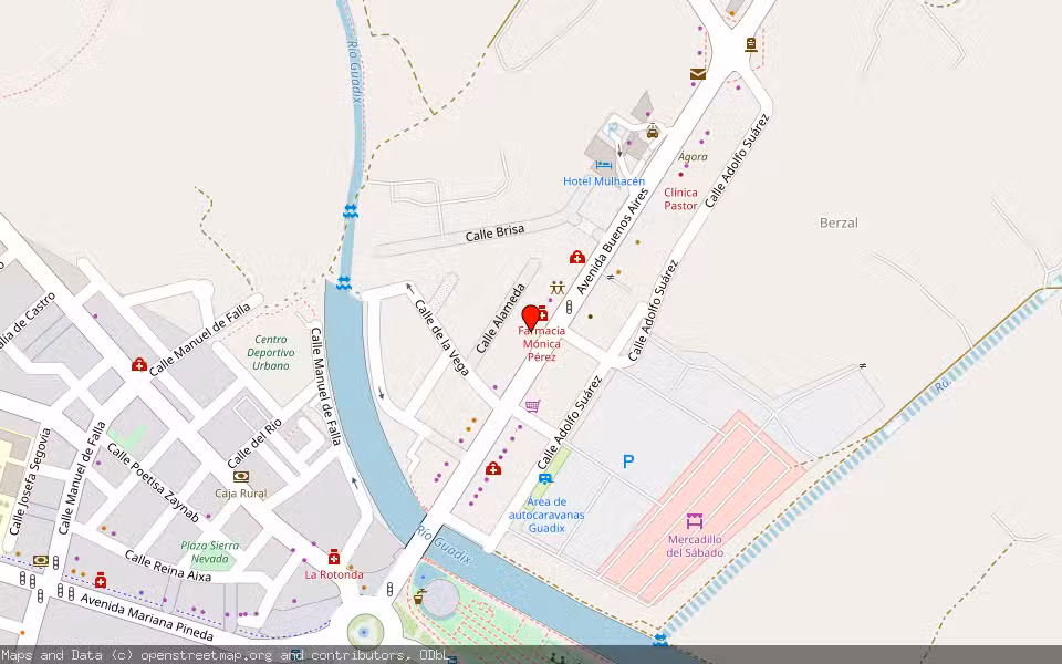 Mapa de Subasta Inmueble (Local comercial) en Guadix, Granada