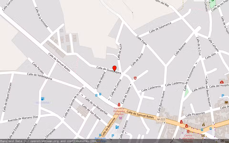 Mapa de Subasta Inmueble (Vivienda) en Villarejo De Salvanes, Madrid