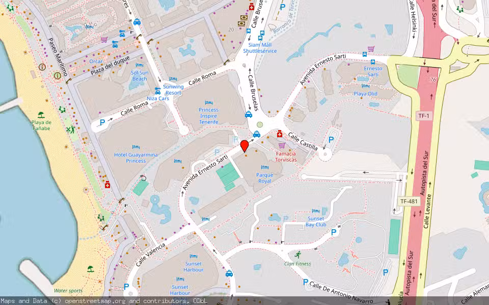 Mapa de Subasta Inmueble (Local comercial) en Adeje, Santa Cruz de Tenerife