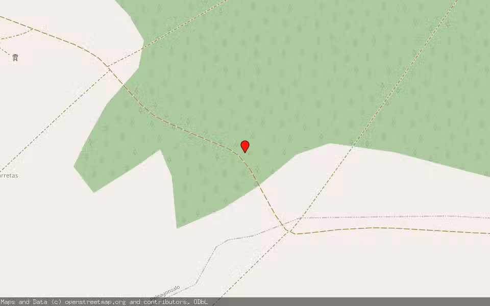 Mapa de Subasta Inmueble (Finca rústica) en Peleagonzalo, Zamora