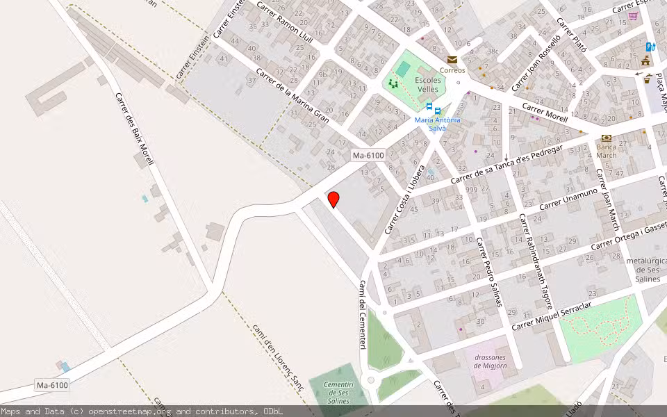 Mapa de Subasta Inmueble (Vivienda) en Ses Salines, Illes Balears