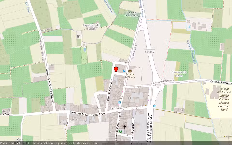 Mapa de Subasta Inmueble (Vivienda) en Benifaraig, Valencia/València