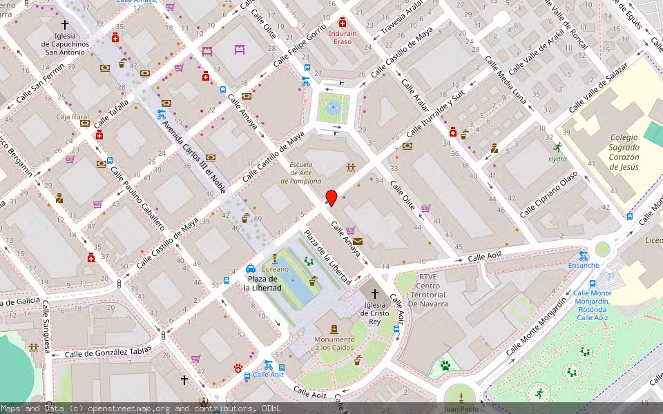 Mapa de Subasta Inmueble (Vivienda) en Pamplona, Navarra