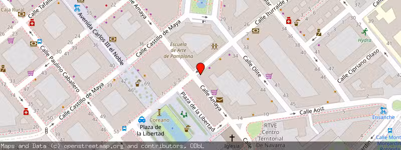 Mapa de Subasta de Inmueble (Vivienda) en Pamplona, Navarra 