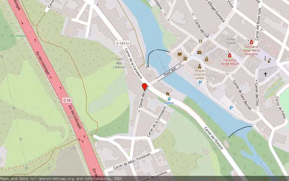 Mapa de Subasta Inmueble (Local comercial) en Sallent, Barcelona