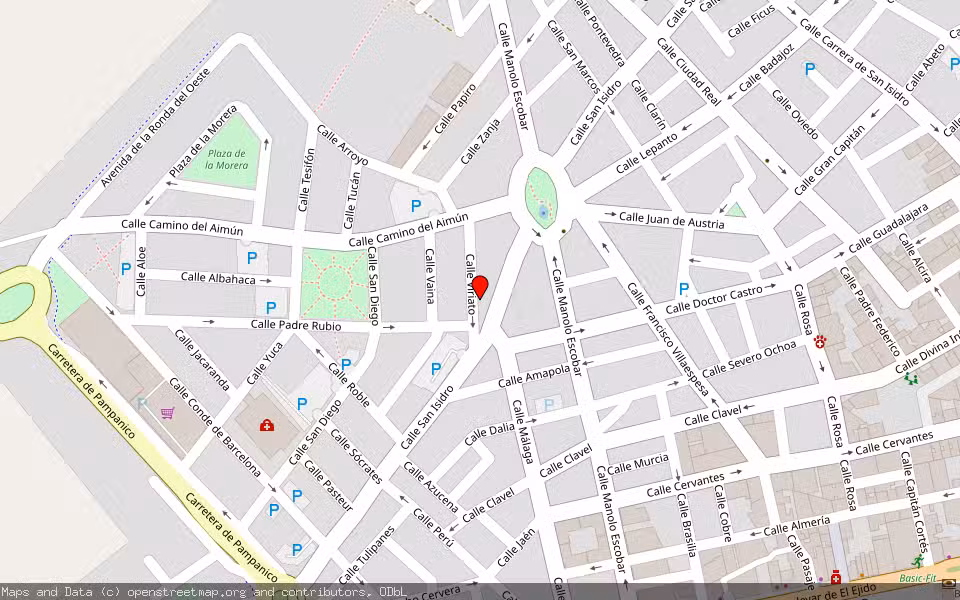 Mapa de Subasta Inmueble (Vivienda) en El Ejido, Almería