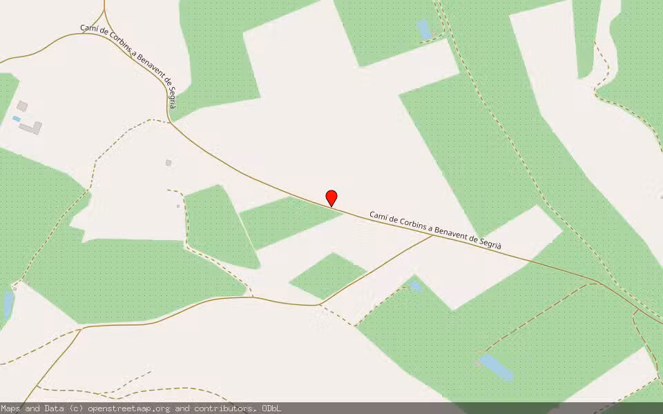 Mapa de Subasta Inmueble (Finca rústica) en Corbins, Lleida