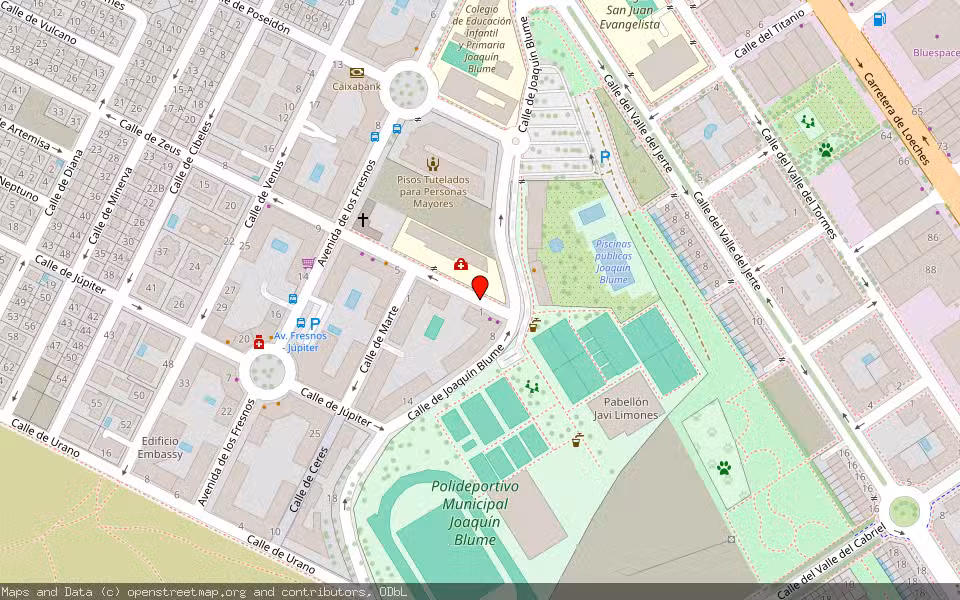 Mapa de Subasta Inmueble (Local comercial) en Torrejon De Ardoz, Madrid