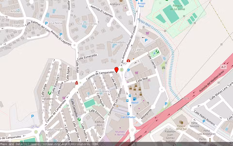 Mapa de Subasta Inmueble (Finca rústica) en Mijas, Málaga