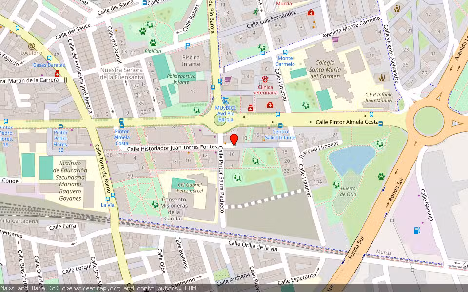 Mapa de Subasta Inmueble (Garaje) en Murcia