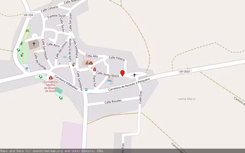 Mapa de Subasta Inmueble (Vivienda) en Olivares De Duero, Valladolid